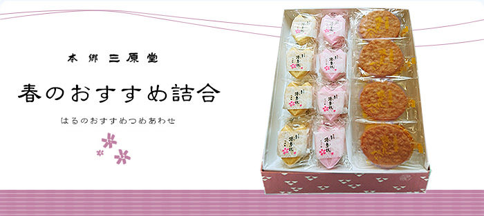 春のおすすめ詰め合わせ 春のおすすめ詰め合わせ